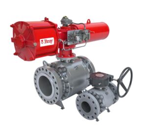 TRUNNION MOUNTED BALL VALVES